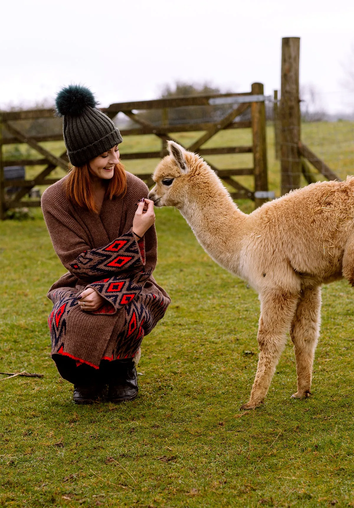 Alpaca Coatigan in Earth