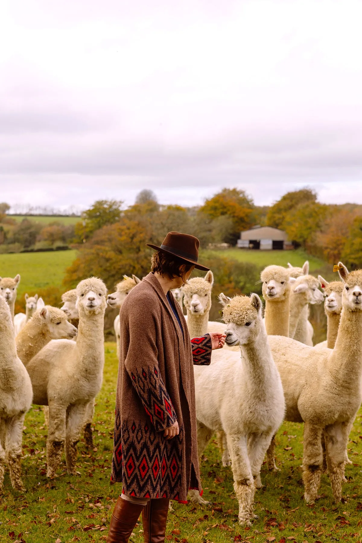 Alpaca Coatigan in Earth