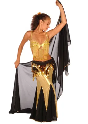 Belly Dance Bra and Skirt Costume Set | FROLICK IN FRINGE